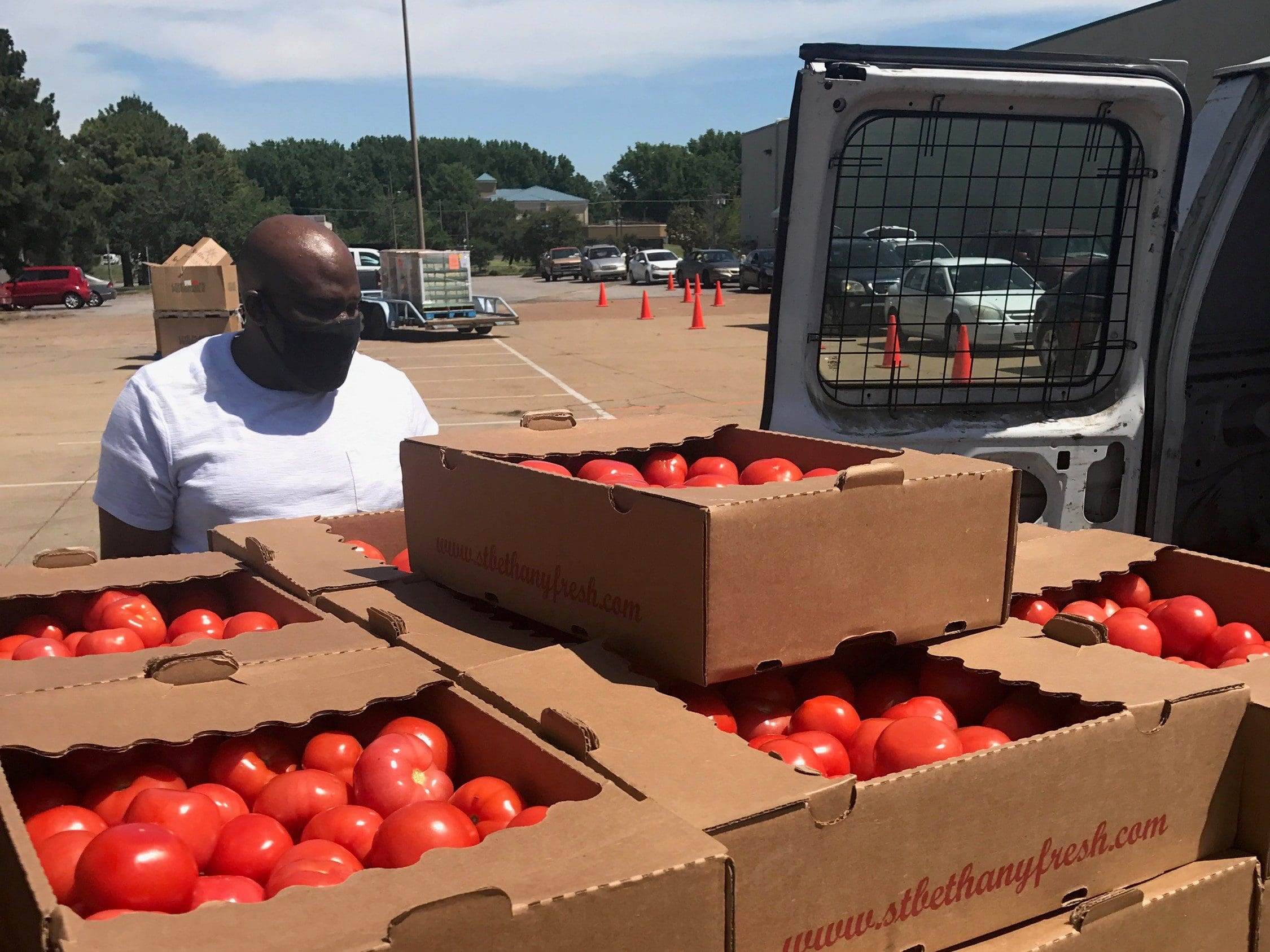 Delivery of fresh tomatoes