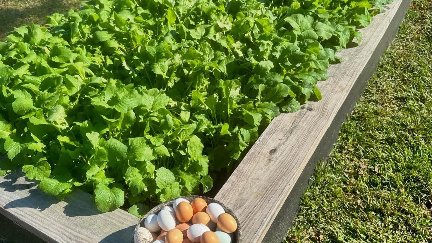 She believes that farming isn’t just about food — it’s about community, resilience, and passing down knowledge to future generations.