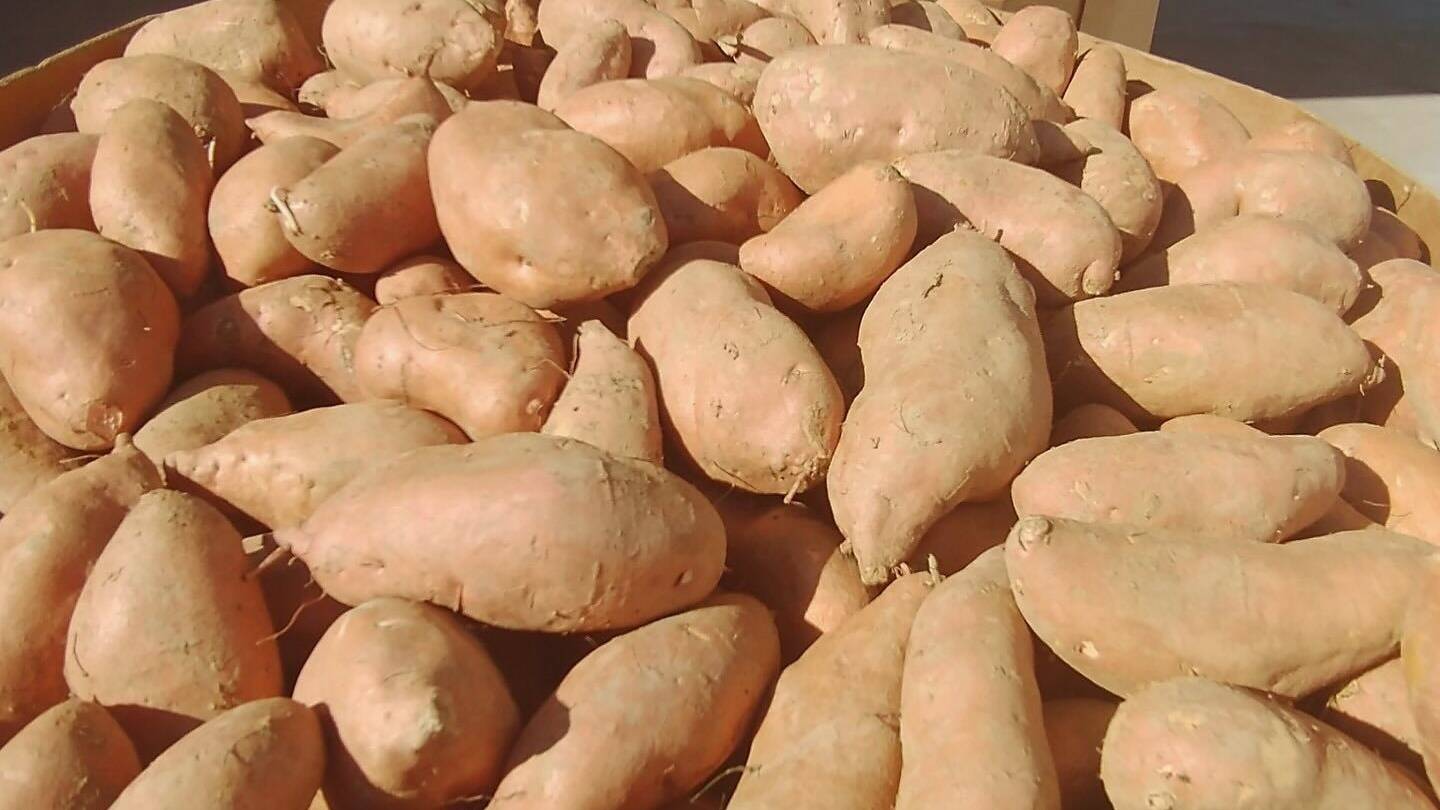 While officials claim the move reduces waste, farmers warn of severe disruptions.