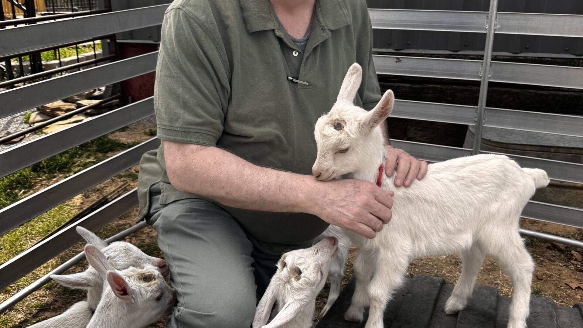 Dale visited the farm where Tino's Ag operates and had the chance to meet their newest additions.