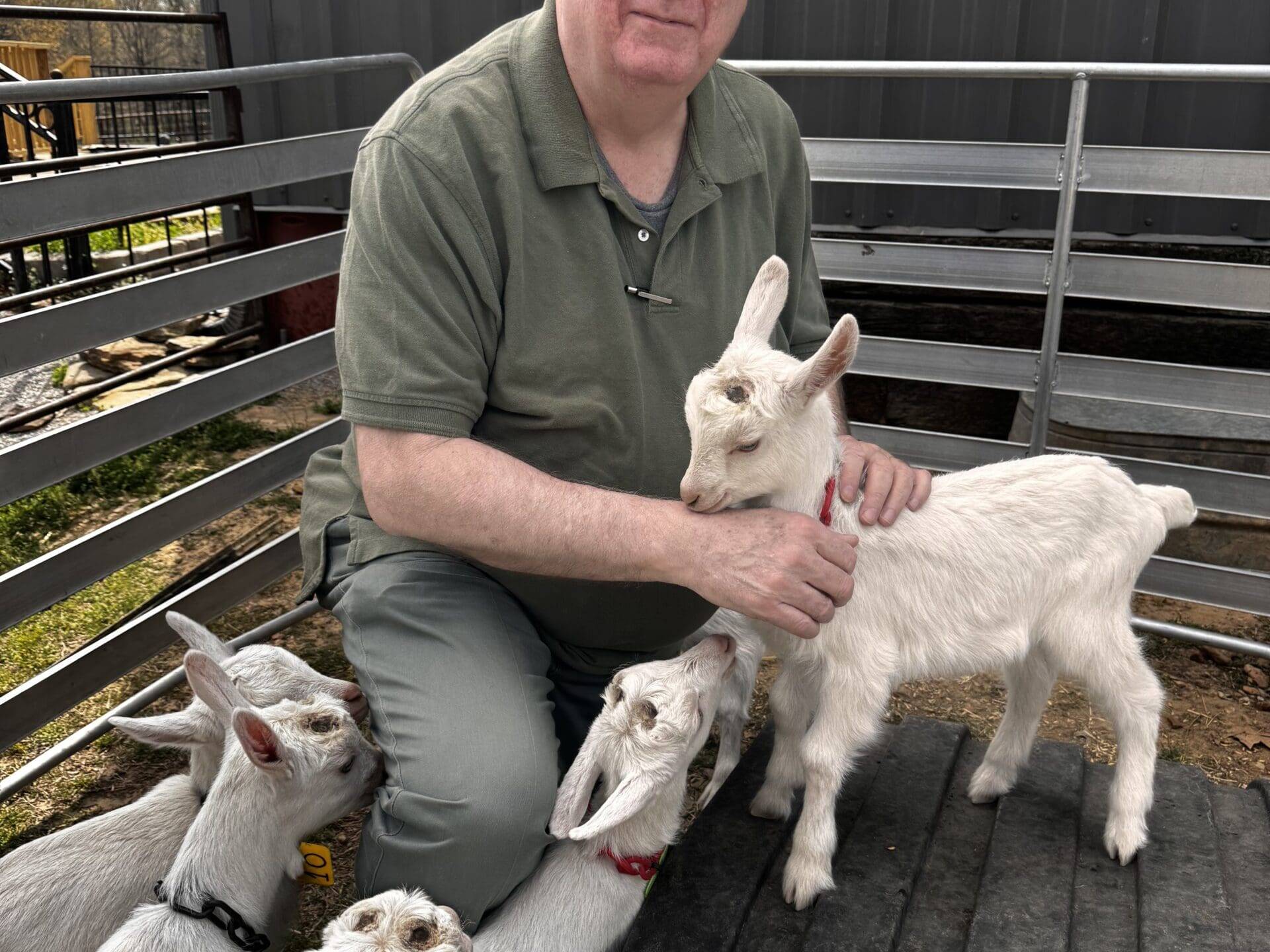 Dale visited the farm where Tino's Ag operates and had the chance to meet their newest additions.