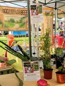 With increased aggregation capacity, farm sales are expected to double.