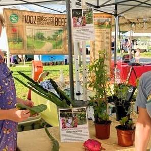 With increased aggregation capacity, farm sales are expected to double.