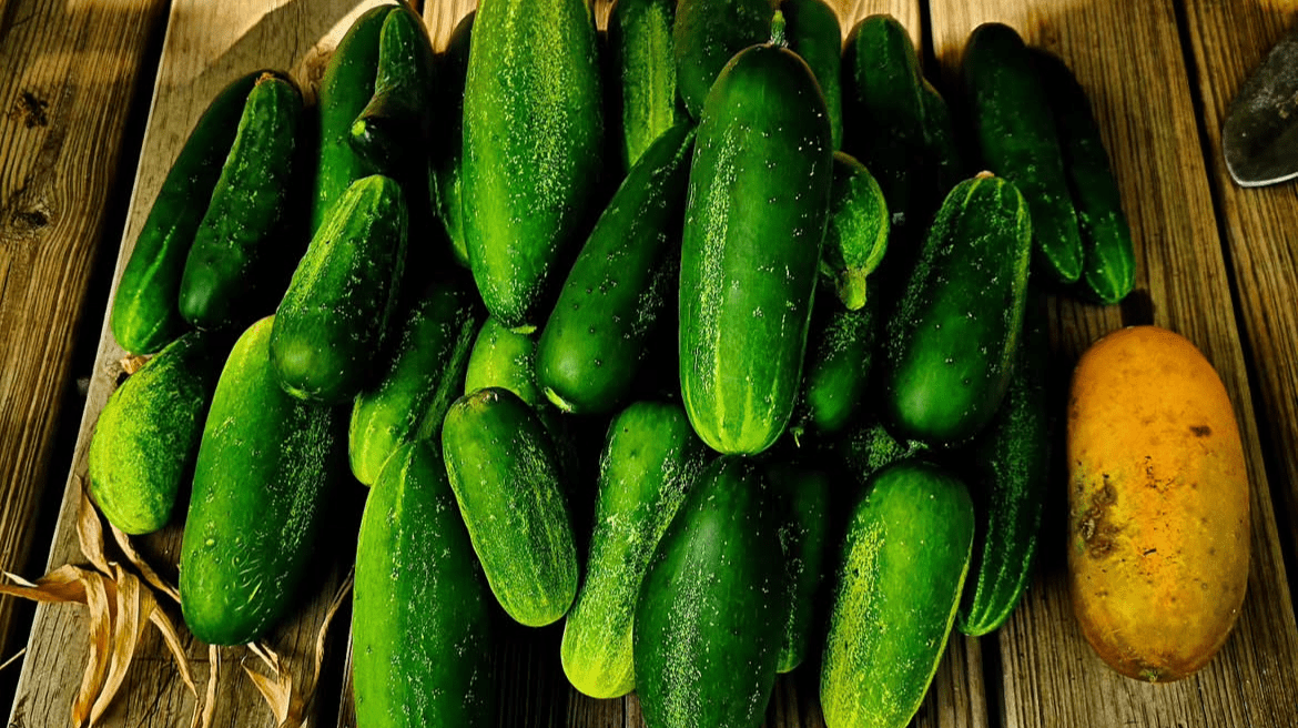 No era una subvención enorme, pero era práctica.