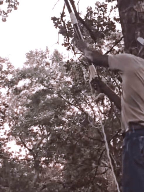 His measure is simpler: one stump gone, then another, one patch of earth reclaimed at a time.