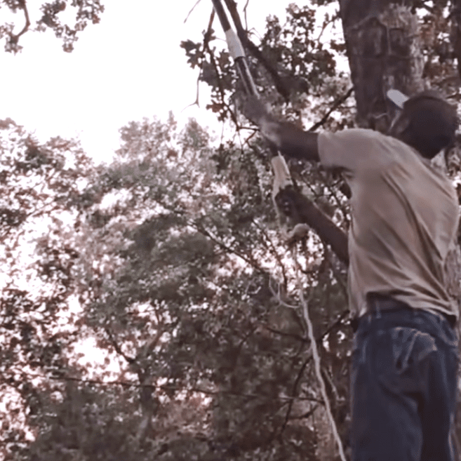 His measure is simpler: one stump gone, then another, one patch of earth reclaimed at a time.