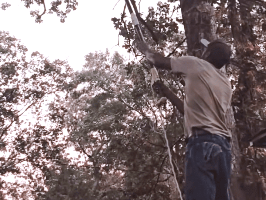 His measure is simpler: one stump gone, then another, one patch of earth reclaimed at a time.