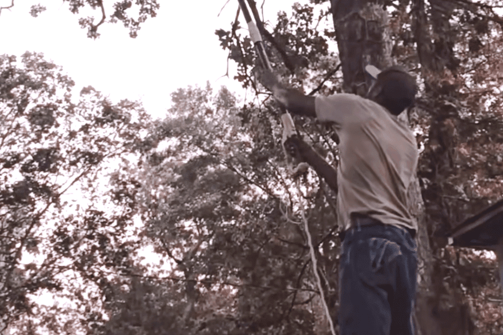 Su medida es más sencilla: un tocón eliminado, luego otro, un trozo de tierra recuperado cada vez.