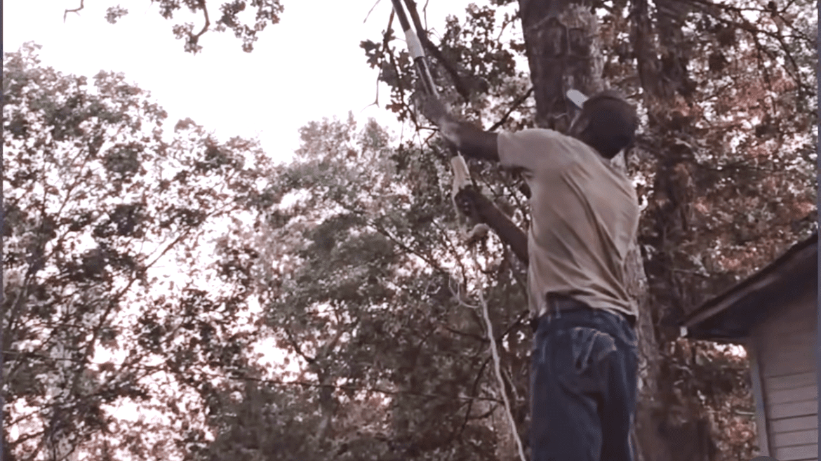 Su medida es más sencilla: un tocón eliminado, luego otro, un trozo de tierra recuperado cada vez.