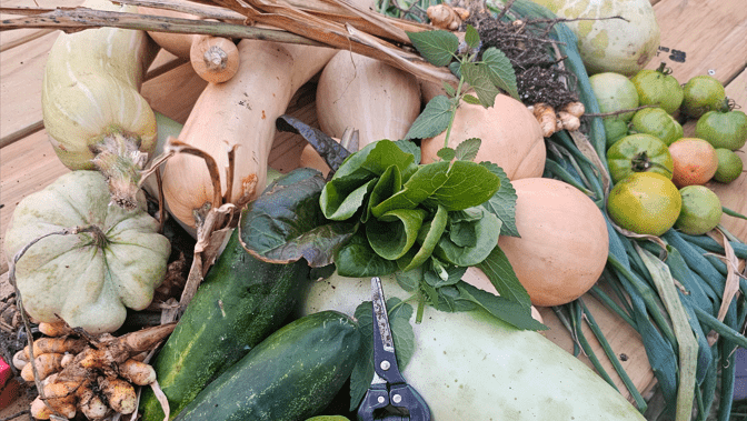 In addition to purchasing equipment, Gigi&rsquo;s Garden needed financing to convert a 28-by-55-foot trailer into a fully functional processing unit, purchase software and supplies, and support marketing and outreach efforts.