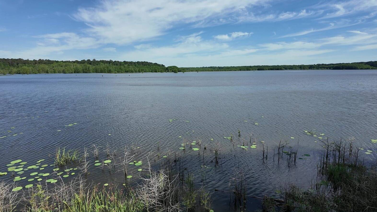 What Noxubee County hasn't had, until now, is a coordinated plan to turn those assets into economic opportunity.